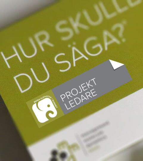 HUR SKULLE DU SÄGA? PROJEKTLEDARE